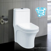 China Manufacturer One Piece Double Flushing Toilet